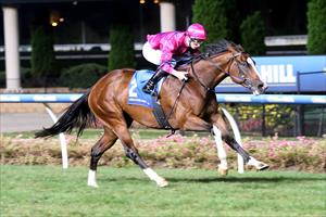 Stunning performance earns Rosie shot at Sydney Group 1